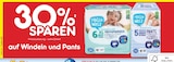 XL Premiumwindeln im Angebot bei Netto Marken-Discount in Offenbach XL Premiumwindeln Angebote von Hallo Welt bei Netto Marken-Discount Offenbach