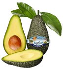 Essreife Avocado im Angebot bei REWE in Bergkamen Essreife Avocado Angebote von SanLucar bei REWE Bergkamen für 1,89 €