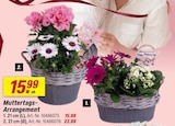 Muttertags-Arrangement bei toom Baumarkt im Düren Prospekt für 15,99 €