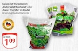 Aktuelle Salat Angebote bei GLOBUS in Bochum Aktuelles Buttersalat/Kopfsalat Angebot bei GLOBUS in Bochum ab 1,09 €