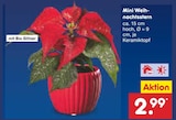 Mini Weihnachtsstern im Angebot bei Netto Marken-Discount in Dresden Mini Weihnachtsstern Angebote bei Netto Marken-Discount Dresden für 2,99 €