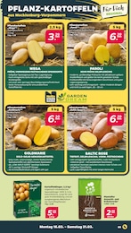 Anzuchterde Angebot & Preis im aktuellen Netto mit dem Scottie Prospekt Anzuchterde Angebot im aktuellen Netto mit dem Scottie Prospekt auf Seite 5