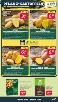 Blumenerde im Netto mit dem Scottie Prospekt "Günstig. Besser. Für Dich." mit 41 Seiten (Berlin)