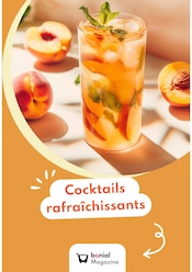 Catalogue Autres Magasins Recettes en cours à Les Vans et alentours, "Cocktails rafraîchissants", 1 page, 16/06/2025 - 17/08/2025