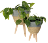 Pflanztopf für 6,99 € bei ROLLER im Angebot Pflanztopf im aktuellen ROLLER Prospekt