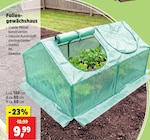 Foliengewächshaus Angebote bei Thomas Philipps Gießen für 9,99 €