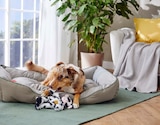 Kühlendes Hundebett von ROMEO für 12,99 € bei ALDI SÜD im Angebot Kühlendes Hundebett von ROMEO im aktuellen ALDI SÜD Prospekt