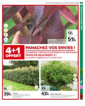 Bambou Angebote im Prospekt "PRÉPAREZ L’AUTOMNE : JARDIN - BRICOLAGE" von Carrefour auf Seite 11