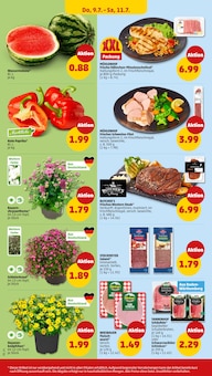 Schweinefleisch im aktuellen Penny Prospekt (Reutlingen) Schweinefleisch im Penny Prospekt "Wer günstig will, muss Penny." mit 44 Seiten (Reutlingen)