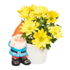Chrysanthemen im Angebot bei Netto Marken-Discount in Zwickau Chrysanthemen Angebote bei Netto Marken-Discount Zwickau für 4,99 €