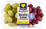 Frischemarkt Stave Hamdorf Prospekt mit  im Angebot für 2,00 €