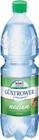 Mineralwasser Angebote von Güstrower Schlossquell bei Netto Marken-Discount Rostock für 3,99 €