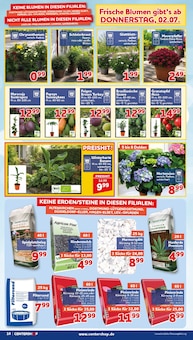 Pflanzen im CENTERSHOP Prospekt "Da geht was." mit 20 Seiten (Krefeld)