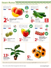 Prospectus Auchan Hypermarché "OFFRES DU MOMENT" en cours à Pau, Page 22 Catalogue Auchan Hypermarché en cours à Pau, "OFFRES DU MOMENT", Page 22