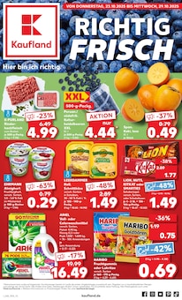 Aktueller Kaufland Prospekt "Aktuelle Angebote" Aktueller Kaufland Prospekt