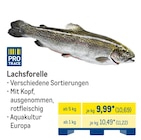 Aktuelles Lachsforelle Angebot bei METRO in Bochum ab 10,69 €