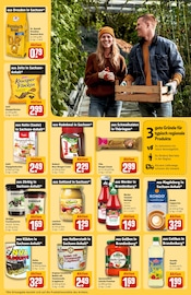 Küche im REWE Prospekt in Chemnitz Aktueller REWE Prospekt mit Küche, "Dein Markt", Seite 25