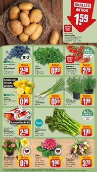 Pflanzen im REWE Prospekt "Dein Markt" mit 18 Seiten (Freiburg (Breisgau))