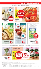 Jardinage Angebote im Prospekt "U Express" von U Express Jardinage Angebote im Prospekt "U Express" von U Express auf Seite 5