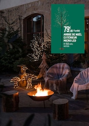 D'autres offres dans le catalogue "LE VILLAGE DE NOËL UNE FORÊT DE MAGIE" de Botanic à la page 18