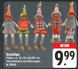 nah und gut Eibenstock - Herbstfigur Angebot im Prospekt Herbstfigur bei nah und gut im Eibenstock Prospekt für 9,99 €