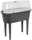 Aktuelle Gartenhaus Angebote bei Penny in Berlin Aktuelles Kunststoffhochbeet Angebot bei Penny in Berlin ab 4,99 €