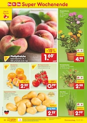 Chrysantheme im Netto Marken-Discount Prospekt in Rostock Aktueller Netto Marken-Discount Prospekt mit Chrysantheme, "Aktuelle Angebote", Seite 46