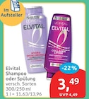 Shampoo bei budni im Prospekt "" für 3,49 €