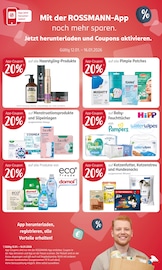 Bodenbelag im Rossmann Prospekt in Neustadt Aktueller Rossmann Prospekt mit Bodenbelag, "Mein Drogeriemarkt", Seite 12