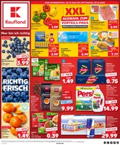 Aktueller Kaufland Prospekt mit Persil, "Aktuelle Angebote", Seite 1