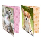 Chemise à élastiques Animaux en promo chez Carrefour Chemise à élastiques Animaux dans le catalogue Carrefour