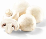 Champignons weiß im Angebot bei Netto Marken-Discount in Saarbrücken Champignons weiß Angebote bei Netto Marken-Discount Saarbrücken für 1,79 €