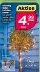 Solar-Lichterkette Angebote von Grundig bei Netto mit dem Scottie Potsdam für 4,99 €