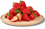 Aktuelle Erdbeeren Angebote bei Penny in Fürth Aktuelles Erdbeeren Angebot bei Penny in Fürth ab 2,49 €