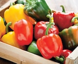 Intermarché Super Capvern - Promo Poivron Tricolore Promo Poivron Tricolore à 1,28 € dans le catalogue Intermarché Super à Capvern