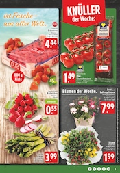 Aktueller E center Prospekt mit Tomaten, "Aktuelle Angebote", Seite 3