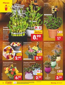 Blumen im Netto Marken-Discount Prospekt "Aktuelle Angebote" mit 61 Seiten (Stuttgart)