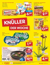 Pizza im Netto Marken-Discount Prospekt in Freiberg Aktueller Netto Marken-Discount Prospekt mit Pizza, "Aktuelle Angebote", Seite 2