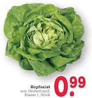 Kopfsalat Angebote bei E center Karlsruhe für 0,99 €