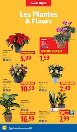 Fleurs Angebote im Prospekt "Les jouets en bois, ça vaut le coup." von Lidl auf Seite 32