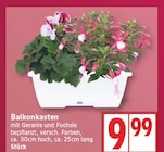 Balkonkasten bei EDEKA im Falkensee Prospekt für 9,99 €