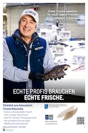 Fisch im METRO Prospekt Monatsmix Mai auf S. 3
