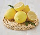 Citron - U dans le catalogue U Express