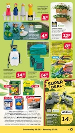 Schere Angebot & Preis im aktuellen Netto mit dem Scottie Prospekt Schere Angebot im aktuellen Netto mit dem Scottie Prospekt auf Seite 25