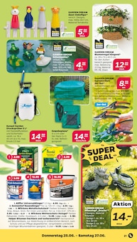 Hortensie Angebot im Netto mit dem Scottie Prospekt, gültig von 22.06.2026 bis 27.06.2026 Hortensie Angebot im aktuellen Netto mit dem Scottie Prospekt auf Seite 25