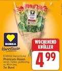 Premium-Rosen von EDEKA Herzstücke im aktuellen E center Prospekt
