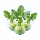 Kohlrabi im Angebot bei Netto Marken-Discount in Rastatt Kohlrabi Angebote bei Netto Marken-Discount Rastatt für 0,55 €