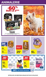 Promos Croquettes Chien dans le catalogue "HAHA HALLOWEEN" de Carrefour Croquettes Chien en promo dans le catalogue Carrefour à la page 48