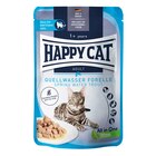 Aktuelles Happy Cat Nassfutter Culinary Meat in Sauce Quellwasser Forelle - getreidefreie Rezeptur 85 g Angebot bei Zookauf in Remscheid ab 0,75 €