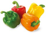 Aktuelles Paprika Angebot bei REWE in Ingolstadt ab 3,79 €